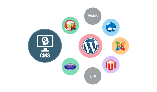 CMS Development 1 cms developments removebg preview